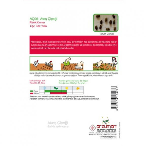 Arzuman Ateş Çiçeği (Salvia Splendens) Çiçek Tohumu 30 Adet - Resim 2