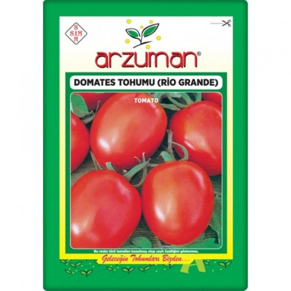 Arzuman Armut Domates (Salçalık Domates) Rio grande (10 gr) - 1