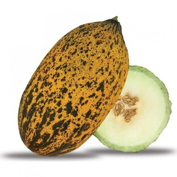 Arzuman Kavun Tohumu Kırkağaç Tipi (Uzun-Benekli) 10 gr - Resim 2