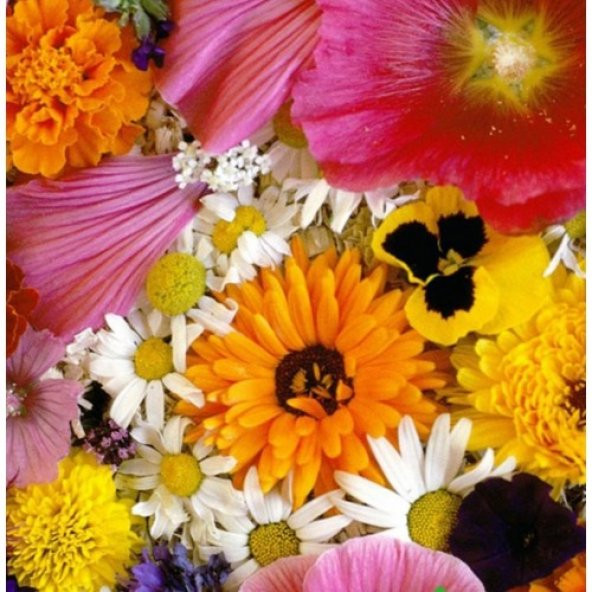 Arzuman Karışık Çiçekler 50 Tohum ürün görseli 1