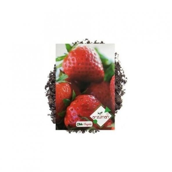 Arzuman 4 Adet Arzuman Çilek Tohumu (100 Adet) ürün görseli 1