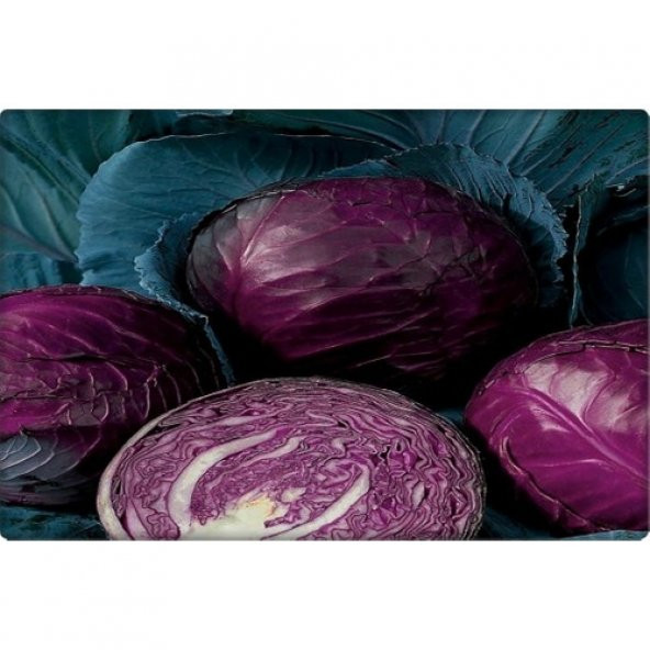 Arzuman Kırmızı Lahana Tohumu (Kara Lahana) 10 gr - 3