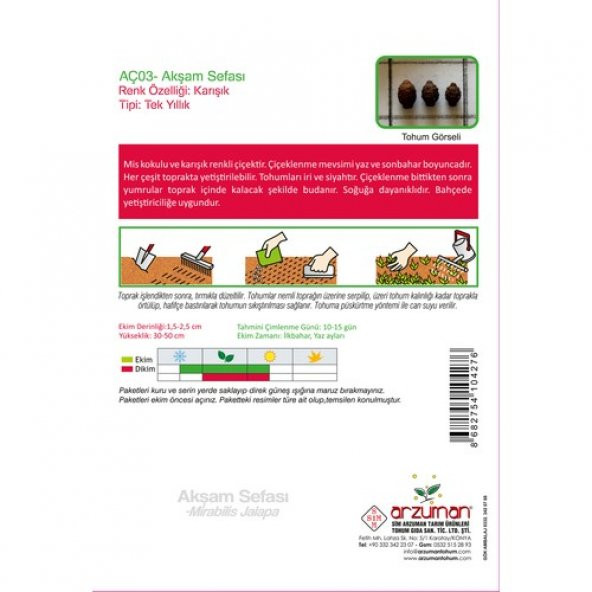 Arzuman Akşam Sefası (Mirabilis Jalapa) Çiçek Tohumu 25 Adet - 2