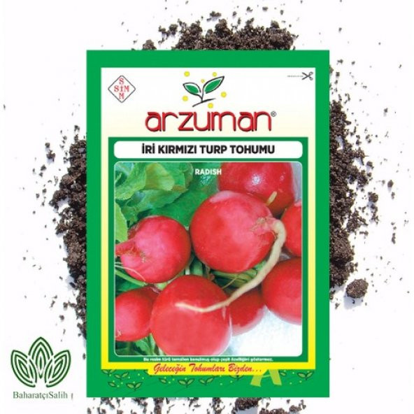 Arzuman Iri Kırmızı Turp Tohumu 25 g ürün görseli 1