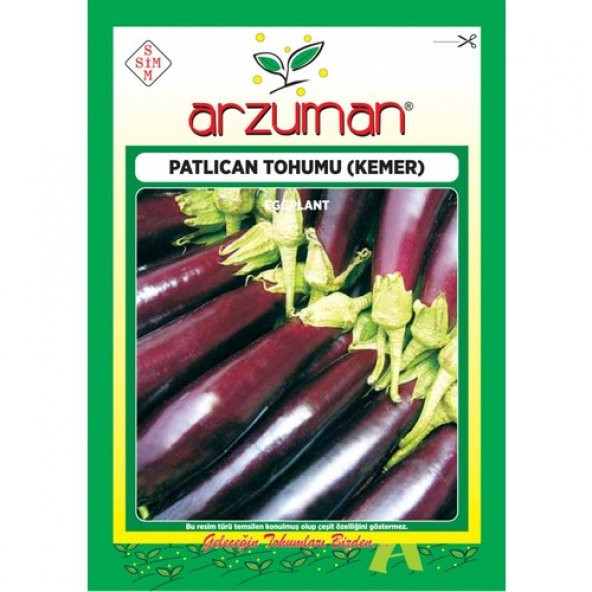 Arzuman Patlıcan Tohumu (10 Gr) Kemer-27 ürün görseli 1