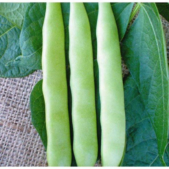 Arzuman Fasulye (SİMBO) 50 Gram ürün görseli 1