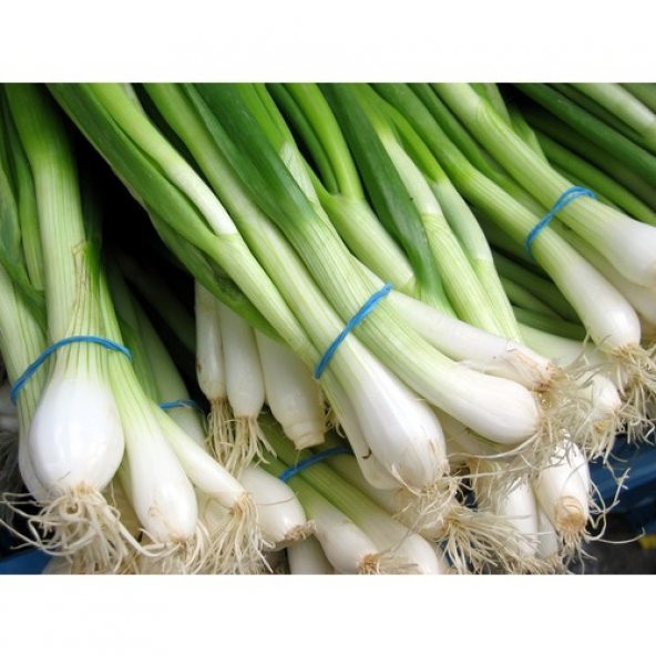 Arzuman Yeşil Soğan 10 Gram ürün görseli 1