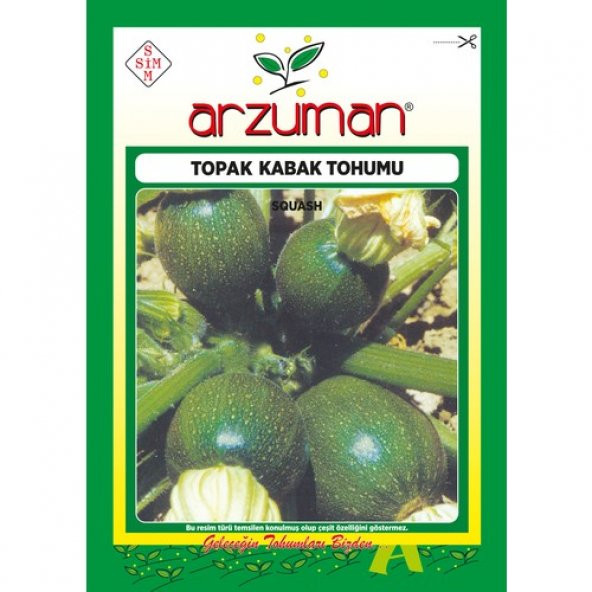 Arzuman Topak Kabak Tohumu 10 Gram ürün görseli 1