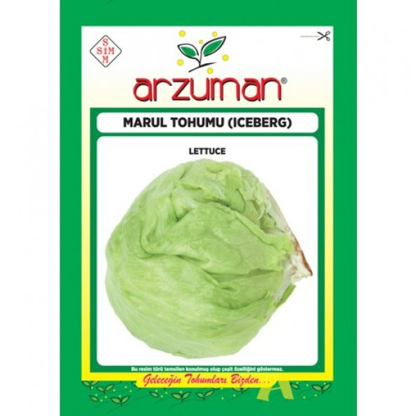Arzuman Sebze Iceberg Marul Tohum 5 gr