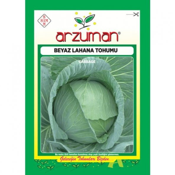 Arzuman Sebze Beyaz Lahana Tohum Yalova1 10 gr ürün görseli 1