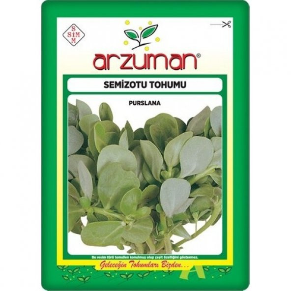 Arzuman Semizotu Tohumu 10 gr - Resim 2