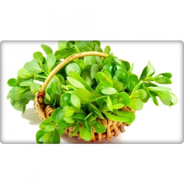 Arzuman Semizotu Tohumu 10 gr - Resim 4