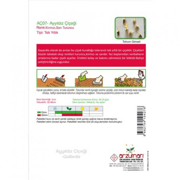 Arzuman Ay Yıldız (Gaillardia) Çiçek Tohumu 50 Adet - Resim 2