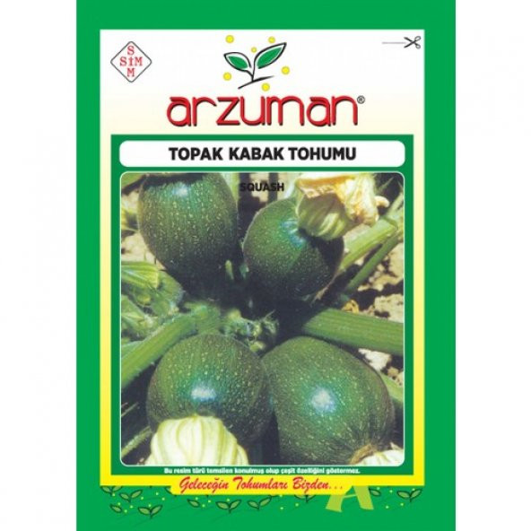 Arzuman Topak Kabak Tohumu (10 Gr) Siyah Renk ürün görseli 1
