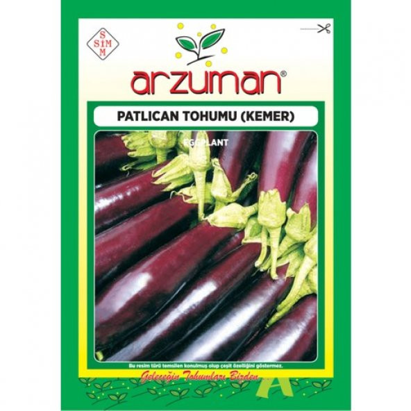 Arzuman Sebze Patlıcan Tohum Kemer 10 gr