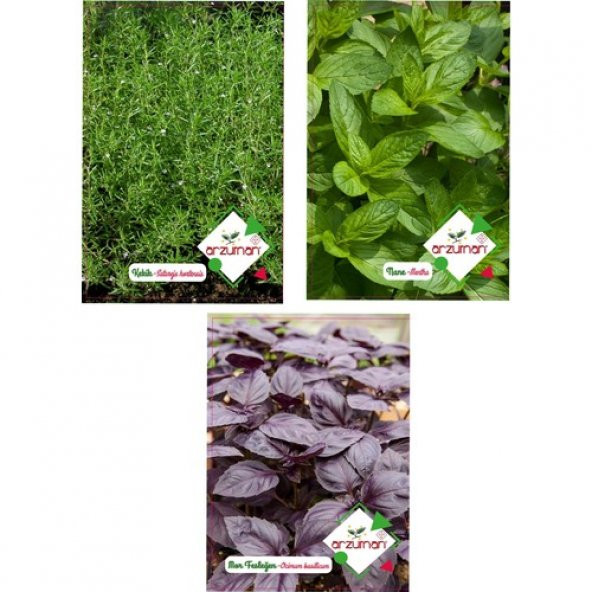 Arzuman Kekik Nane Mor Fesleğen Tohumu ürün görseli 1