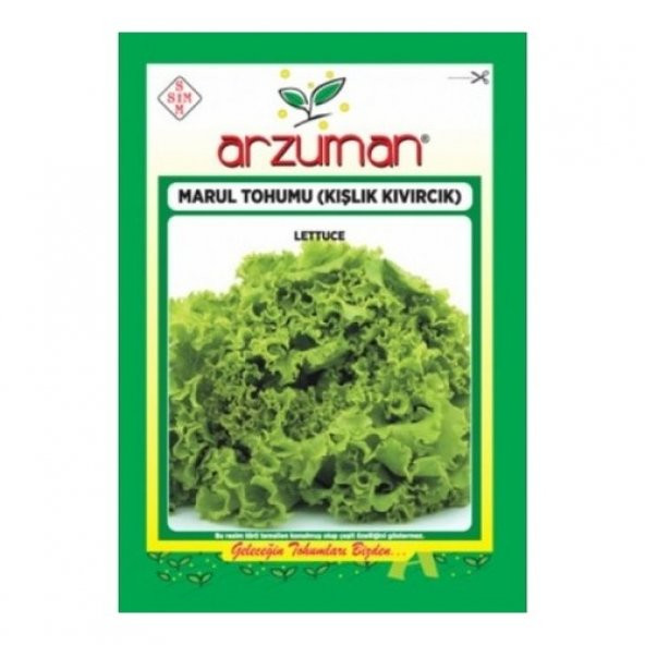 Arzuman Kışlık Kıvırcık Marul Tohumu 10 gr ürün görseli 1