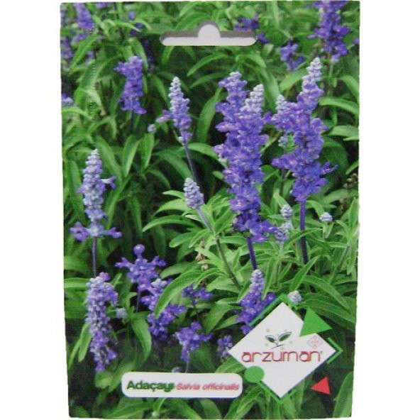 Arzuman Adaçayı Tohumu 50li ürün görseli 1