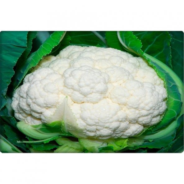 Arzuman Karnabahar Tohumu 500lü - Resim 3