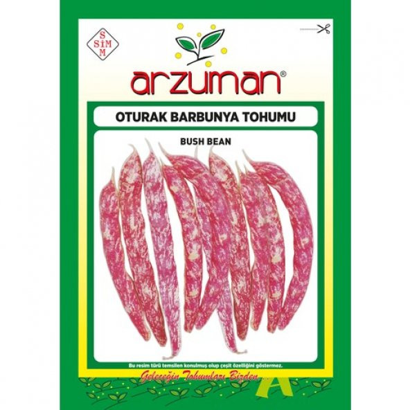 Arzuman Oturak Barbunya Tohumu 50 Gram ürün görseli 1