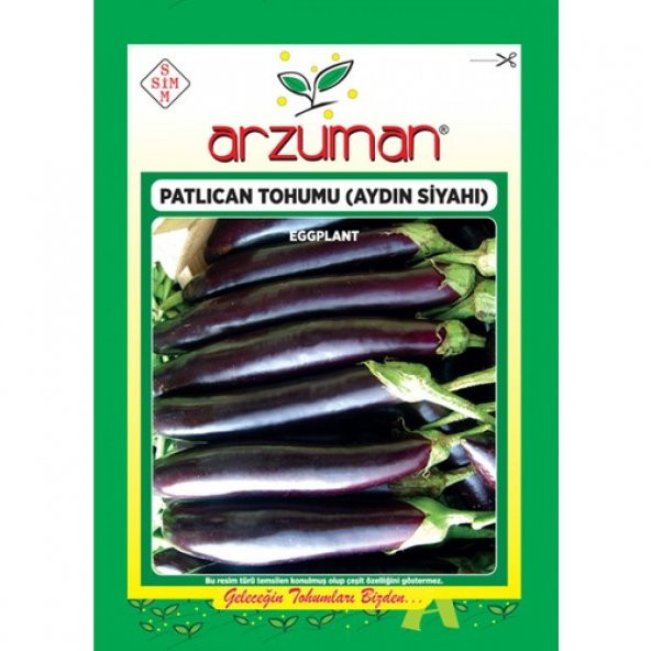 Arzuman Patlıcan Tohumu (10 Gr) Aydın Siyahı