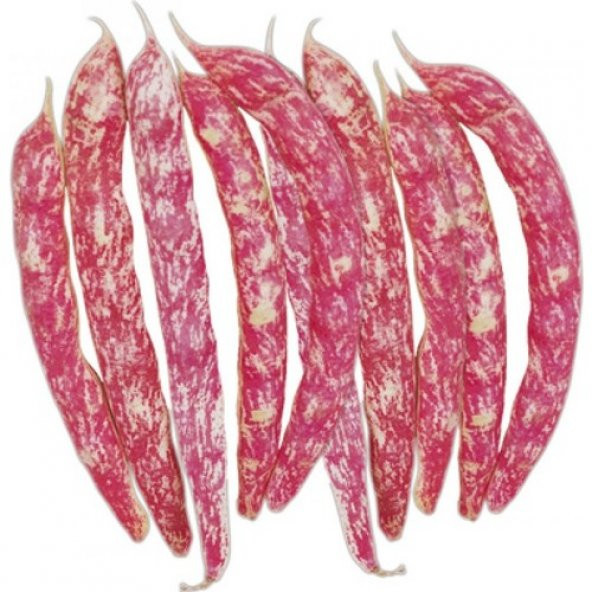 Arzuman Barbunya (Oturak) 50 Gram ürün görseli 1