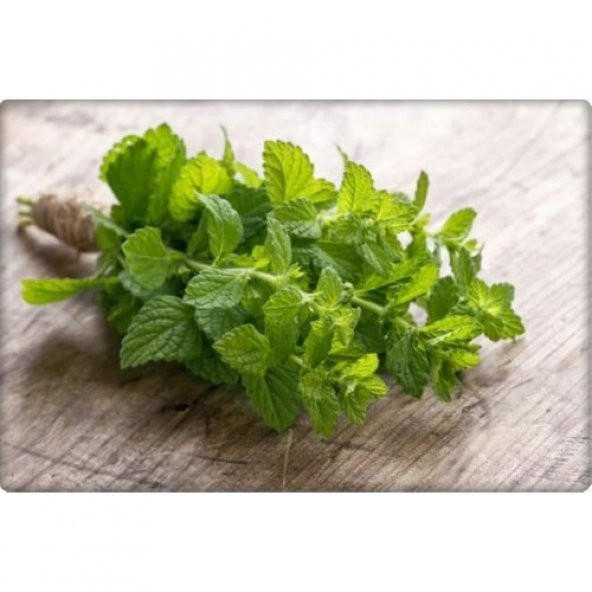 Arzuman Nane Tohumu (100 Adet) Keskin Kokulu - Resim 2