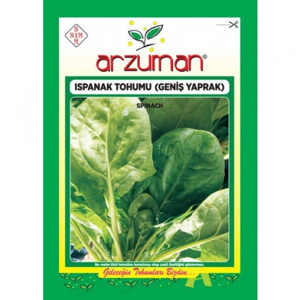 Arzuman Ispanak Tohumu Ithal (Matador Çeşidi) 25 gr