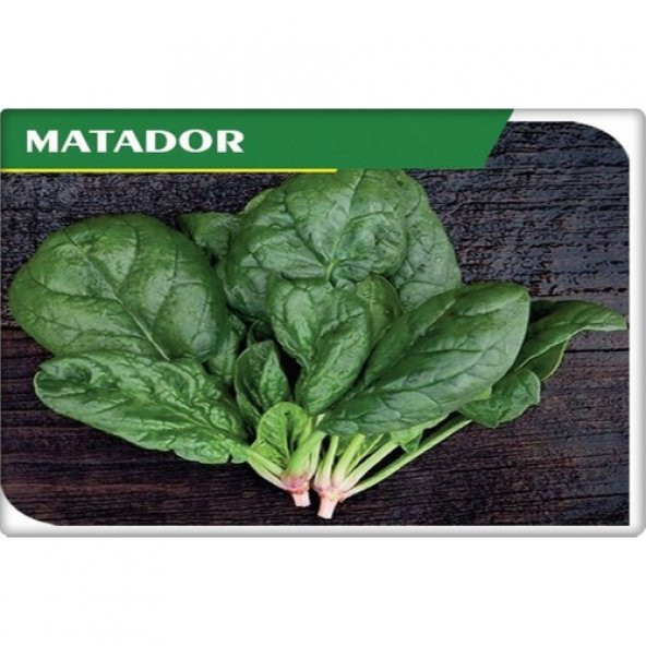 Arzuman Ispanak Tohumu Ithal (Matador Çeşidi) 25 gr - 3
