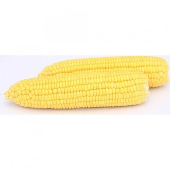 Arzuman Küçük Çiftlik Tatlı Mısır Tohumu 25 gr Hibrit Şeker Mısır - 2