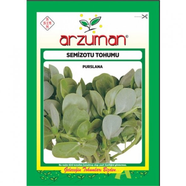 Arzuman Semizotu Iri Yapraklı 10 gr ürün görseli 1