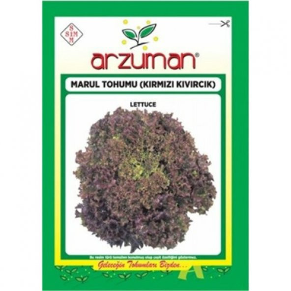 Arzuman Kırmızı Kıvırcık Marul Marul 5 gr