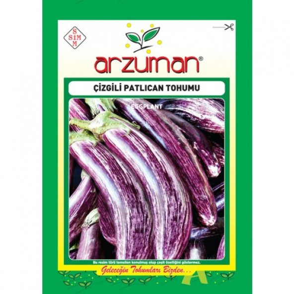 Arzuman Patlıcan Sebze Tohum Çizgili 5 gr