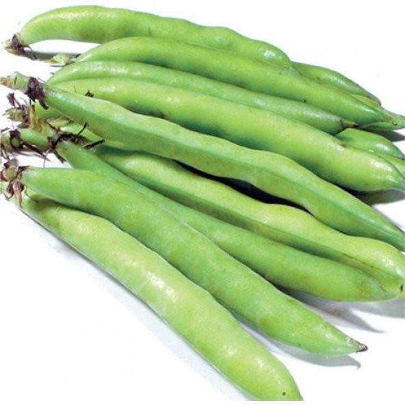 Arzuman Bakla (Sakız) 50 Gram ürün görseli 1