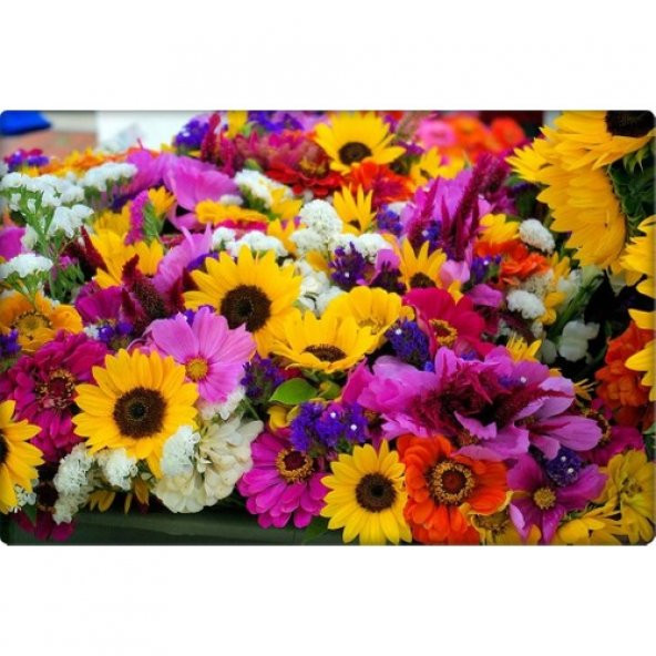 Arzuman Karışık Çiçekler Tohumu (50 Adet) 8-10 Çeşit Çiçek