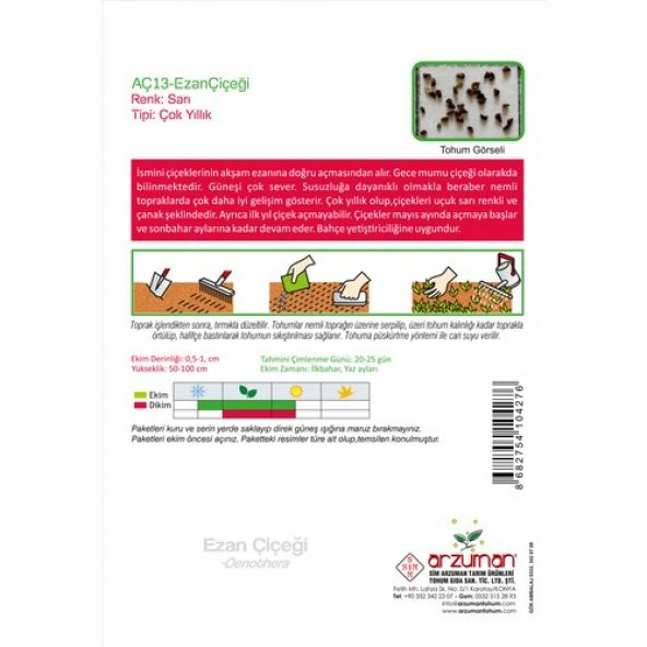 Arzuman Ezan Çiçeği (Oenothera) Çiçek Tohumu 100 Adet - 2