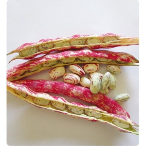 Arzuman Barbunya (Sırık) 50 Gram ürün görseli 1