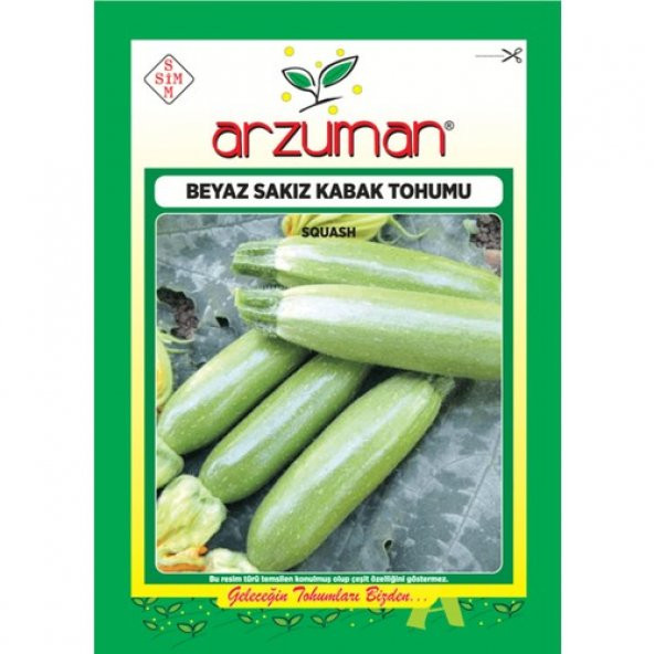 Arzuman Sebze Beyaz Sakız Kabak Tohum 10 gr ürün görseli 1