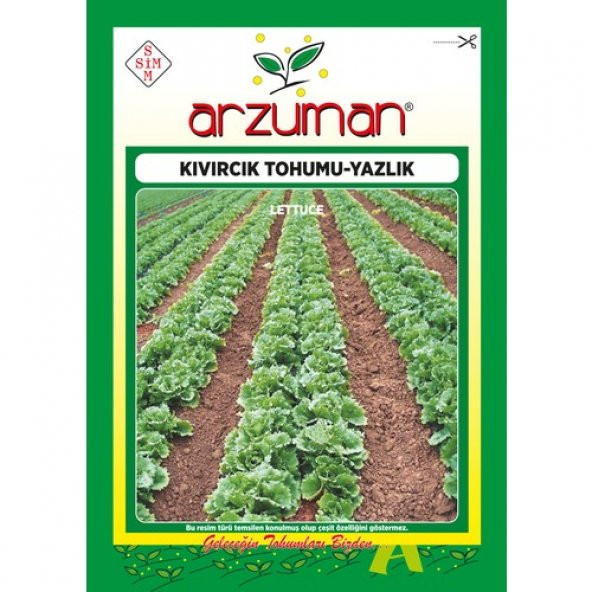 Arzuman Yazlık Kıvırcık Marul Tohumu 10 Gram ürün görseli 1