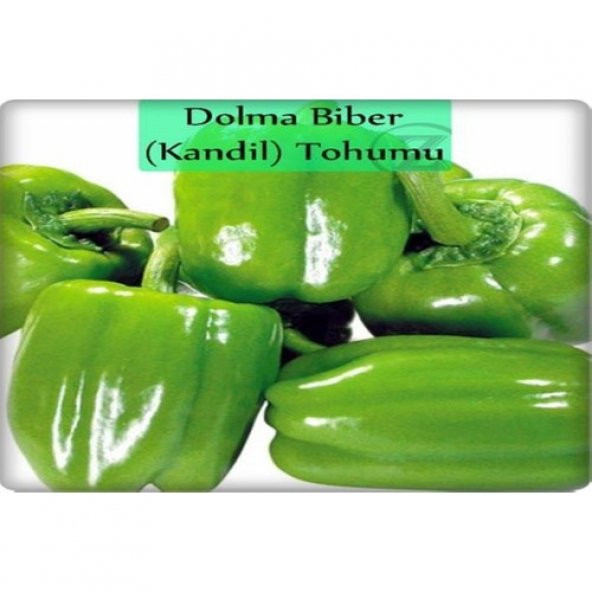 Arzuman Dolma Biber Tohumu İnce Kabuk 10 gr - 3