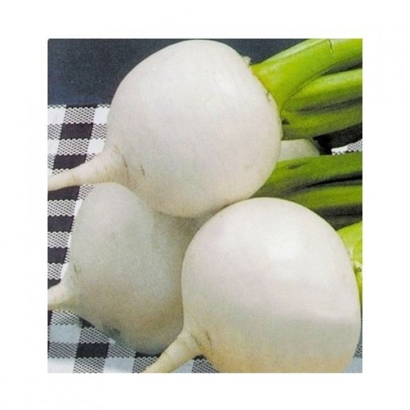 Arzuman Beyaz Turp Tohumu 10 g - Resim 2