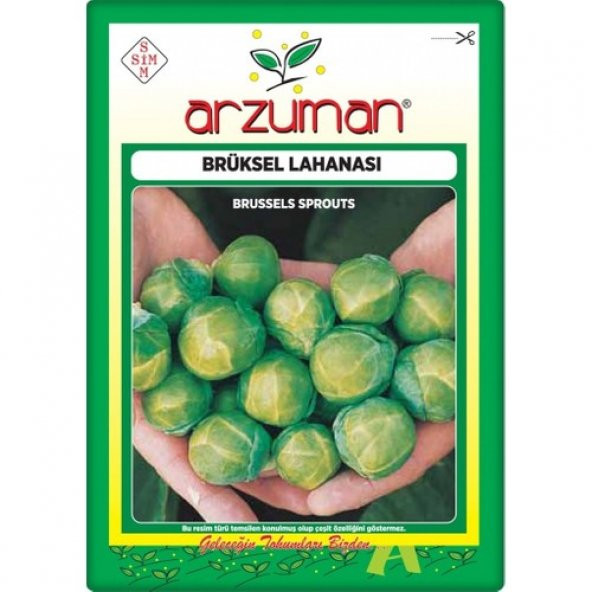 Arzuman Brüksel Lahanası Tohumu (200 Adet) - Resim 2