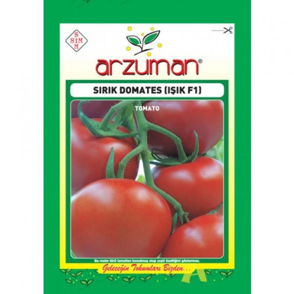 Sırık Domates (Işık F1 Hibrit) Tohumu (10 Adet) - 1