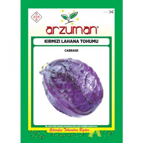 Arzuman Sebze Kırmızı Lahana Mor Tohum 10 gr ürün görseli 1