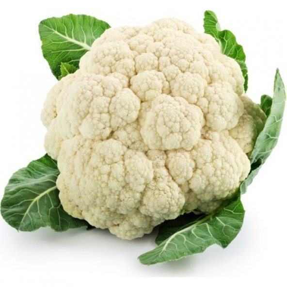 Arzuman Karnabahar 500 Adet ürün görseli 1