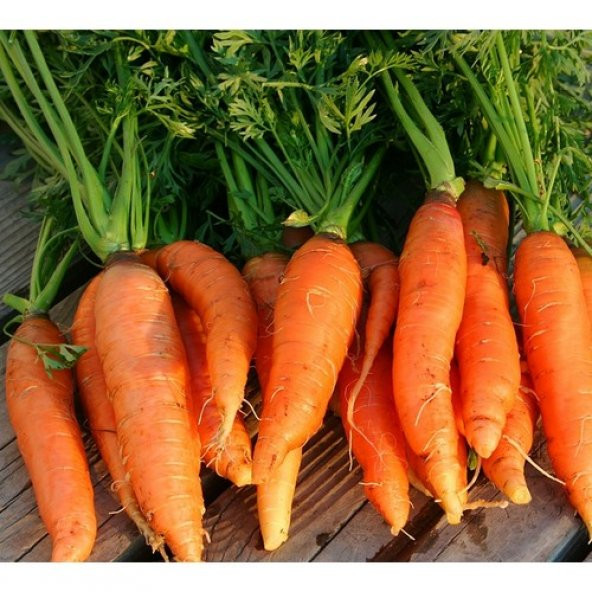 Arzuman Nantes Havuç 10 Gram ürün görseli 1