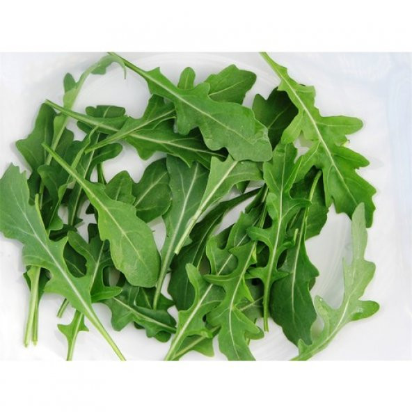 Arzuman Roka Geniş Yaprak 10 Gram ürün görseli 1