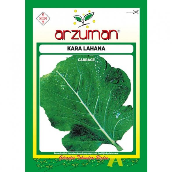 Arzuman Kara (Yaprak) Lahana Tohumu 10 Gram ürün görseli 1