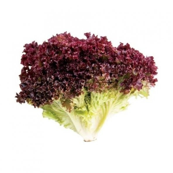 Arzuman Kırmızı Marul Tohumu (Kırmızı Kıvırcık) 5 gr - 2