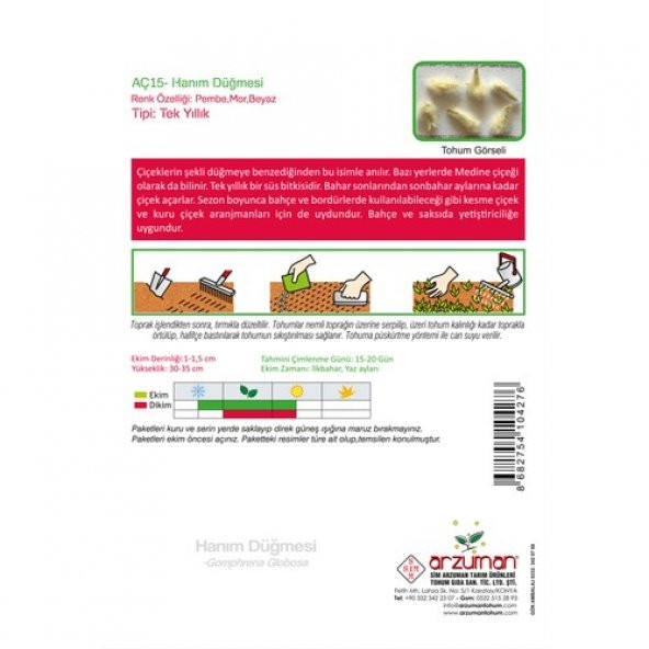 Arzuman Hanım Düğmesi (Gomphrena Globosa) Çiçek Tohumu 20 Adet - Resim 2